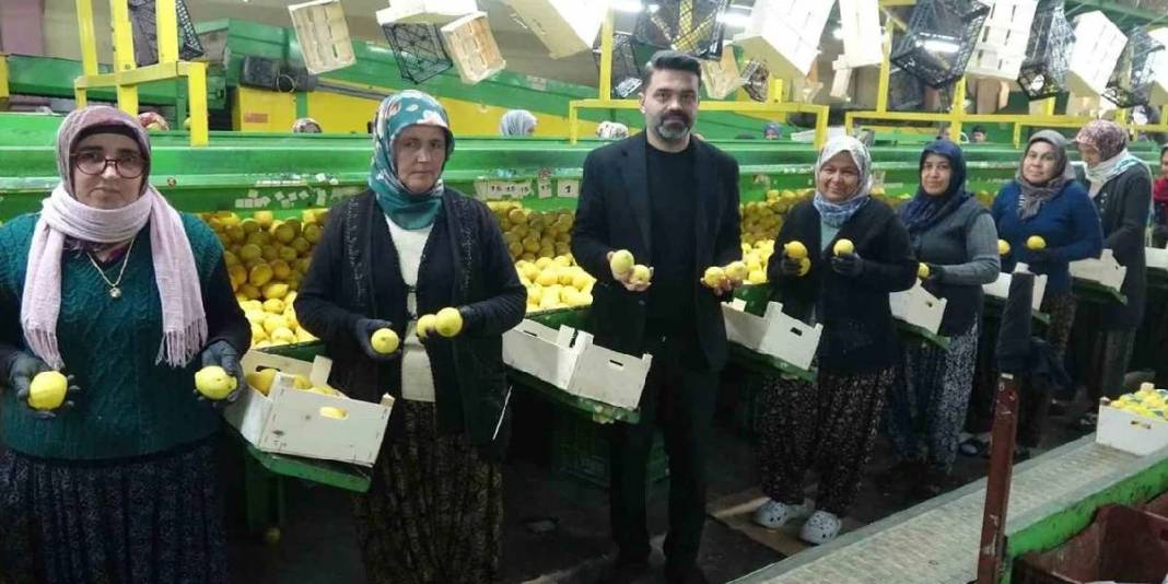 Hasatta ayrı tesiste ayrı mesai: 2025’te 10 TL olan fiyat bu yıl 50 TL’ye çıktı 4